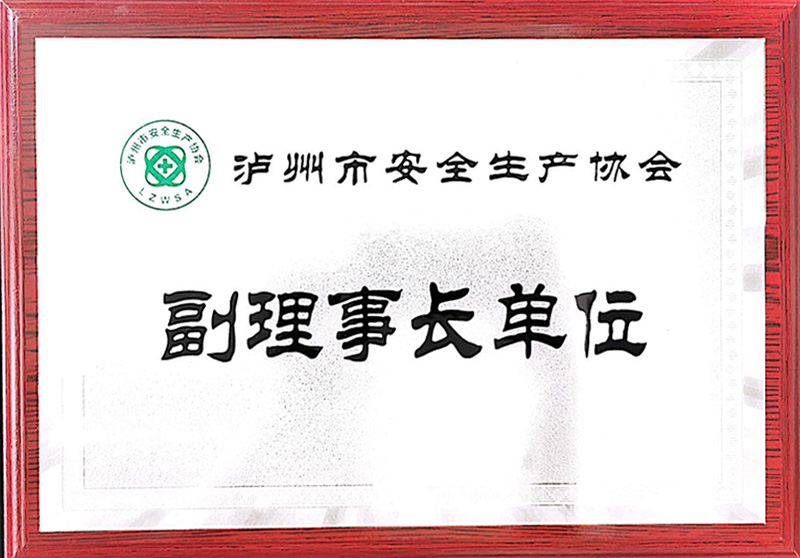 泸州市安全出产协会副理事长单元(图1)