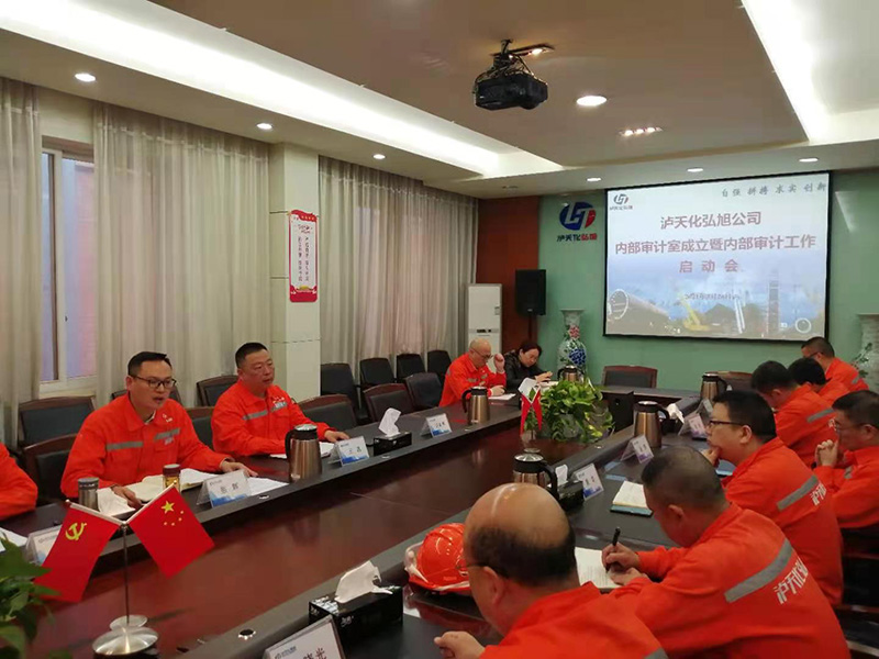 弘旭公司召开内部审计工作启动会(图3) 弘旭公司召开内部审计工作启动会(图3)